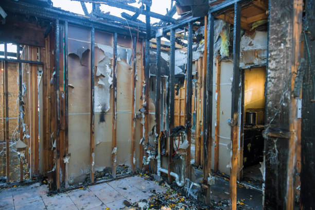 Professional Fire Damage Removal technician working in Orland Hills, IL